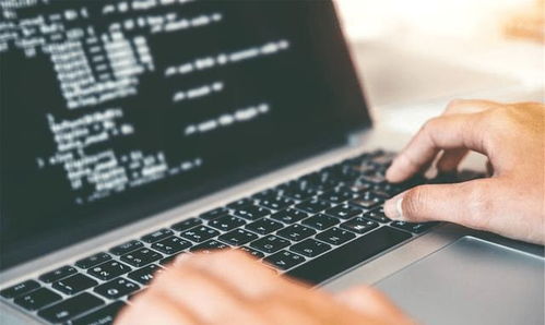 重點大學計算機專業(yè)學生，考研還是就業(yè)？