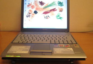 筆記本電腦與臺(tái)式電腦通用麥克風(fēng)選購指南 價(jià)格、廠家及網(wǎng)絡(luò)圖片一覽